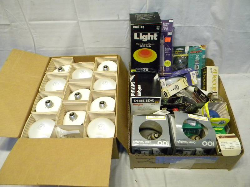 Large Light Bulb Lot