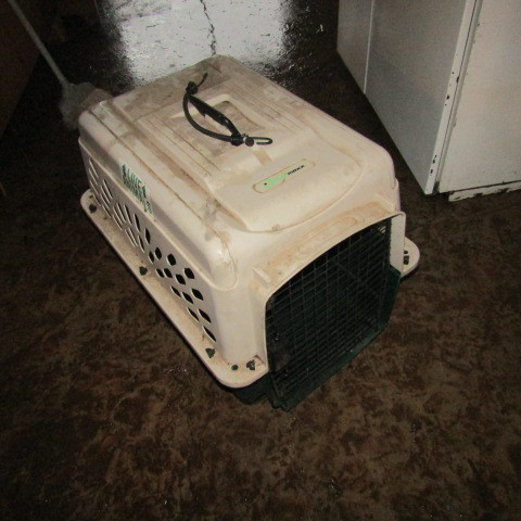 Dog Carrier