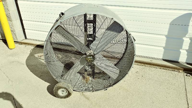42 Fan