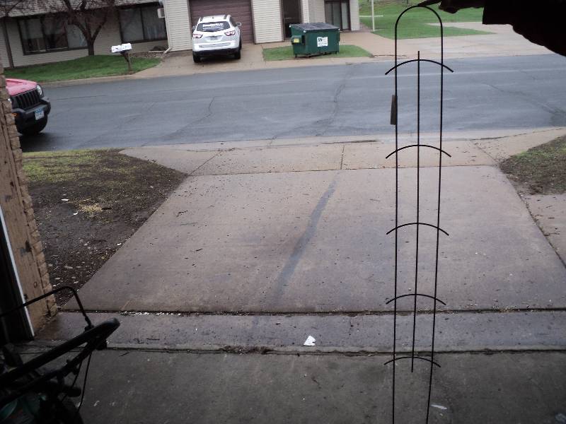trellis, 5 ft tall, 8 in wide...