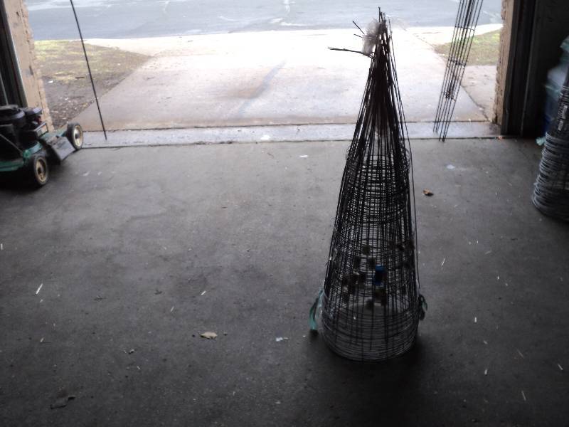 25 small tomato cages...