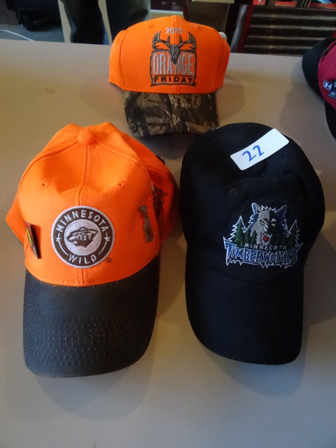 lot 22 image: Timberwolves, Minnesota wild, and h...
