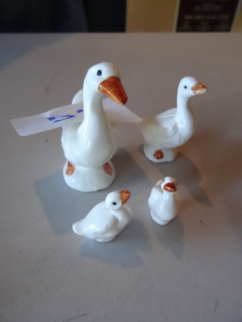 lot 54 image: Small family of Geese...