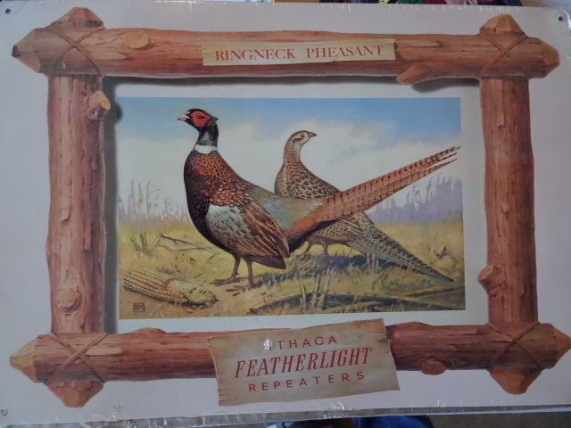 lot 69 image: Ring neck pheasant metal sign. 17 x...