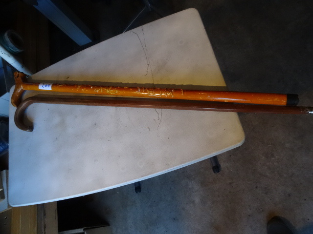 lot 204 image: 2 walking canes...