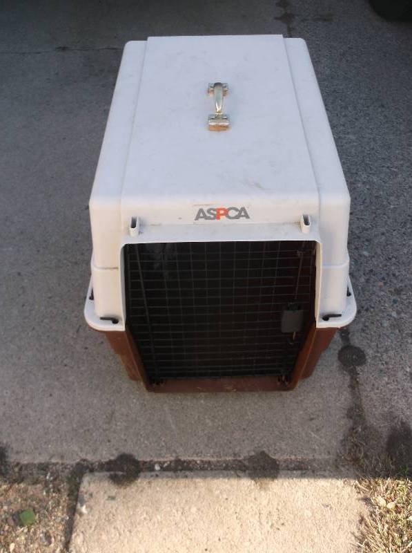 Dog Kennel