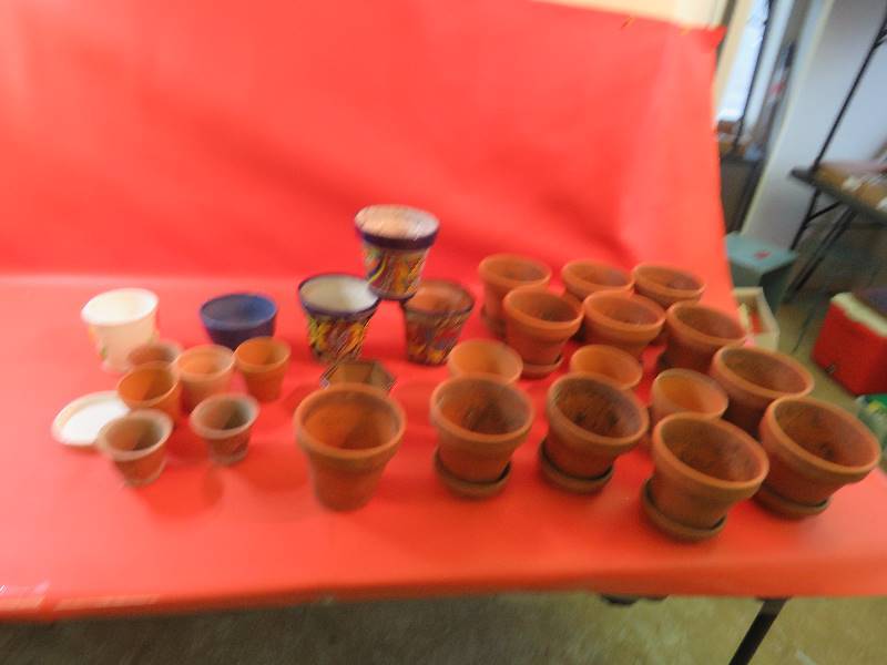 lot 486 image: Flower Pots