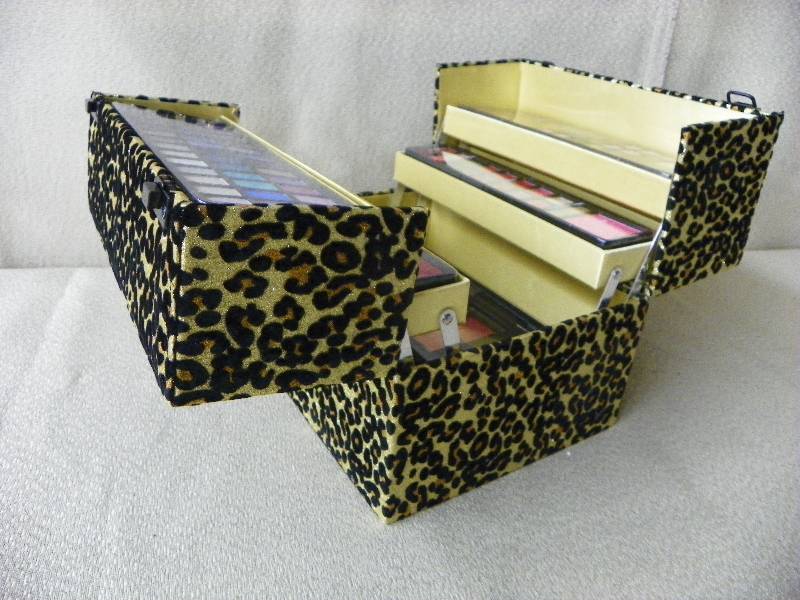 Beauty Explosion Train Case