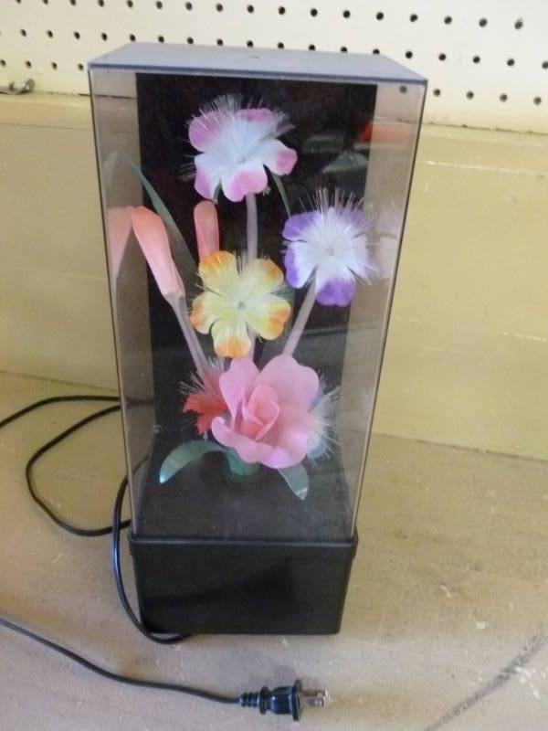 Fiber Optic Display