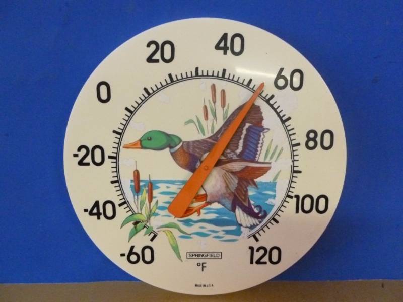Wall Thermometer