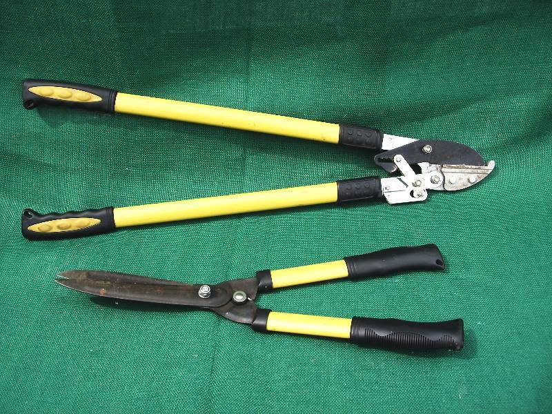lot 40 image: Tree branch cutter and hedge trimmers.