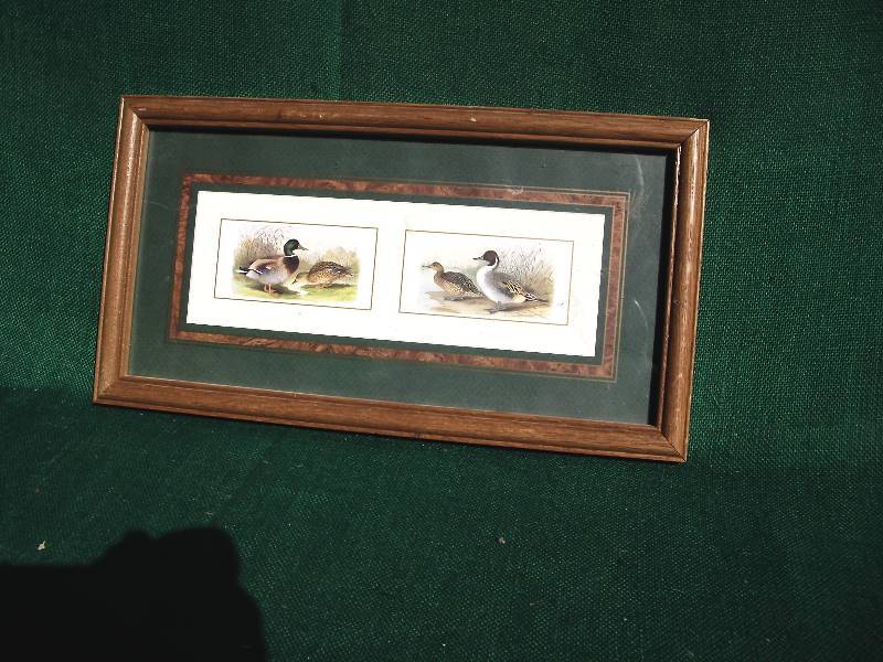 lot 125 image: Picture of Ducks.