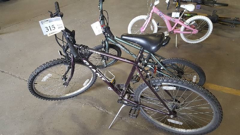 lot 315 image: Boulder Giant Mountain Bike with 21 inch Rim.