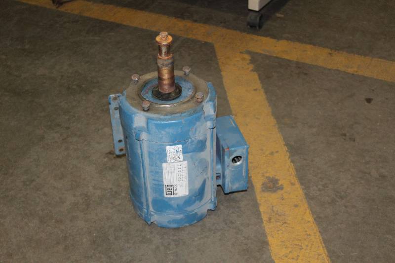 lot 225 image: WEG Continuous Duty Fire Pump Motor