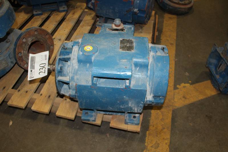 lot 230 image: Fire Pump Motor