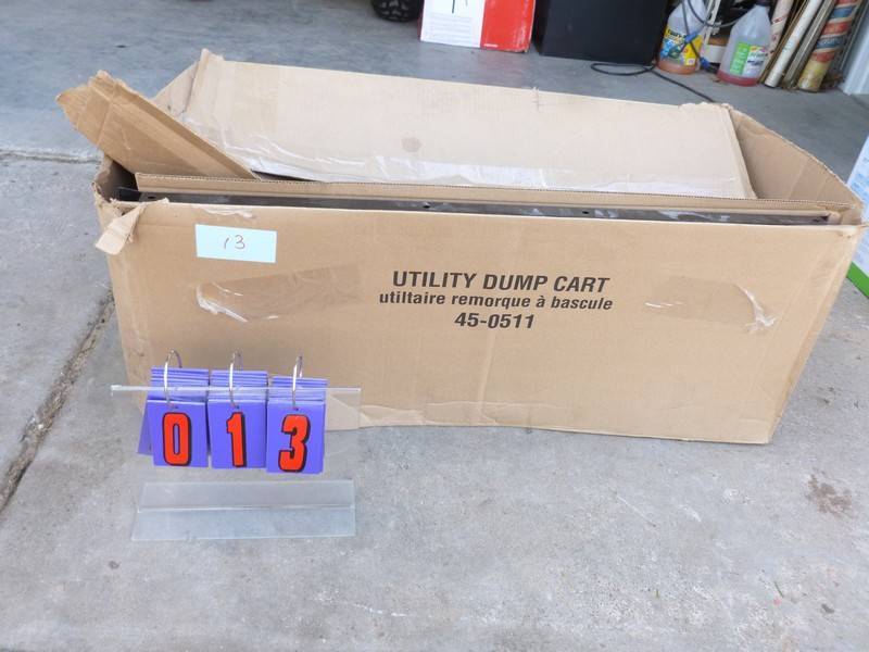 SnS Auctions # 260 Go Karts & Lawn mowers