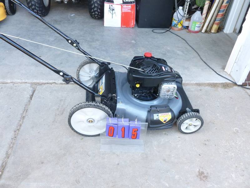 SnS Auctions # 260 Go Karts & Lawn mowers