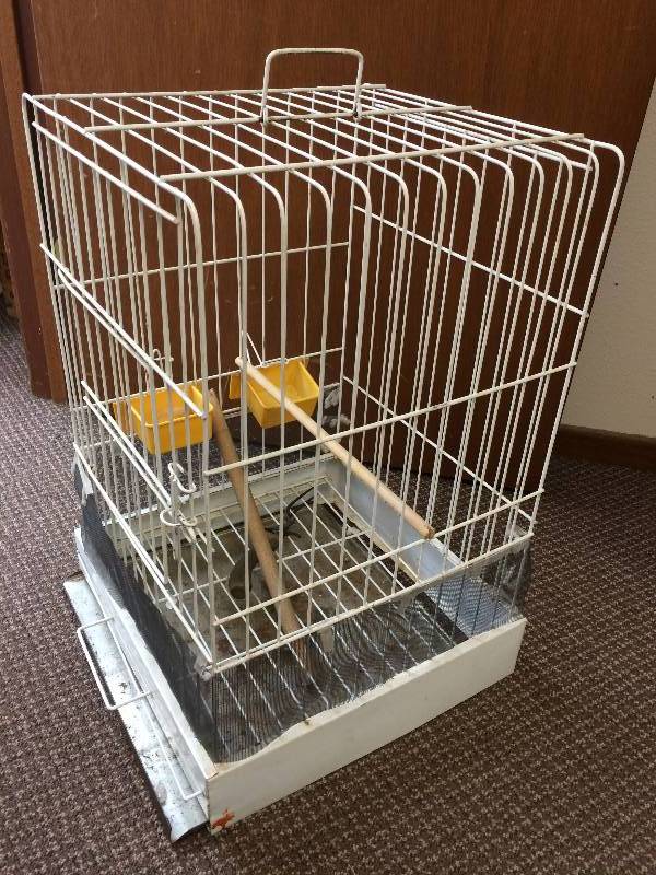 Bird Cage