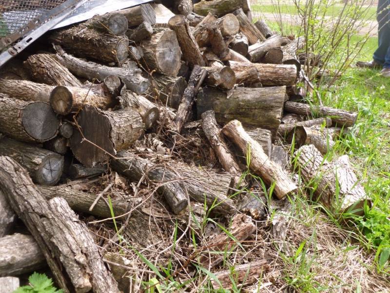 Firewood