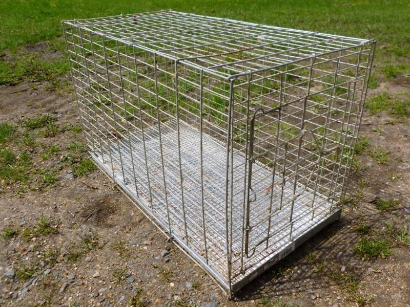 Pet Cage