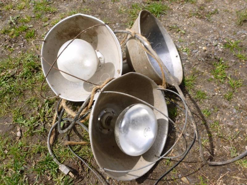 Heat Lamps