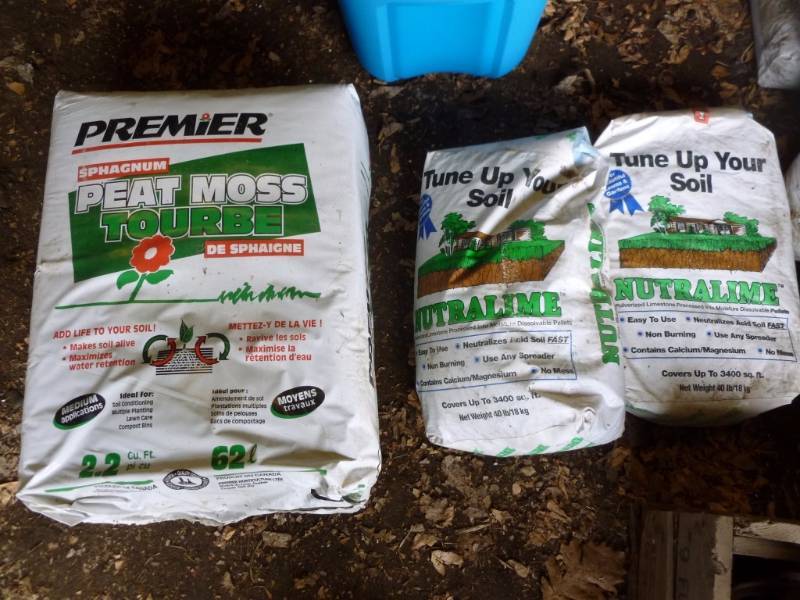 Peat Moss
