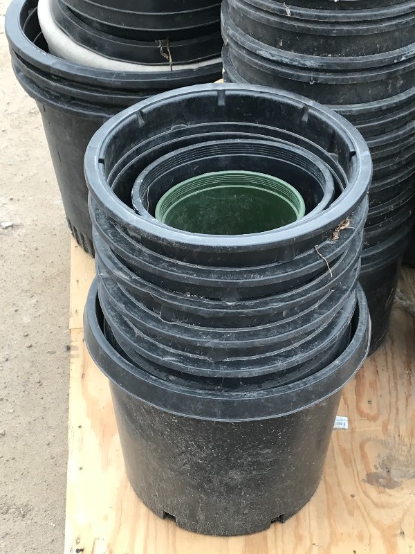 lot 8 image: Lot Of Assorted Planting Pots