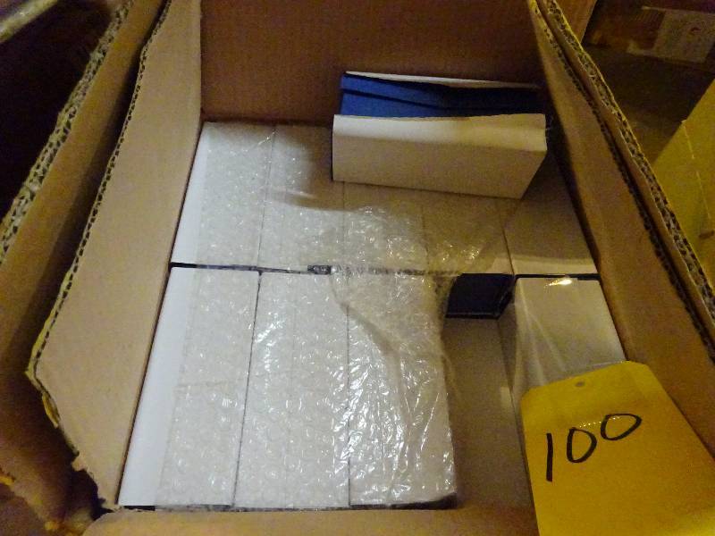 2 Cases (40 Pieces) Large Crystal Pegusas