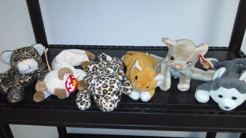 Ty Beanie Babies (6) Feline Babies