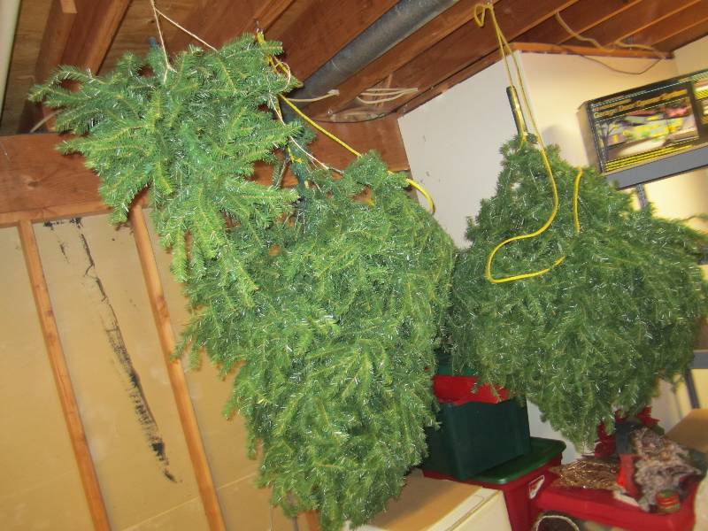 lot 24 image: Clean, well stored Christmas tree...