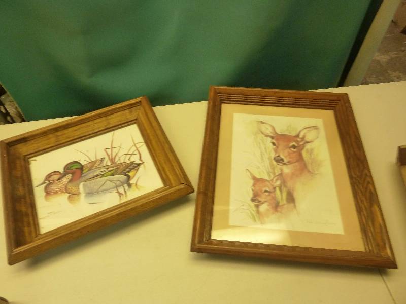 Wildlife Prints