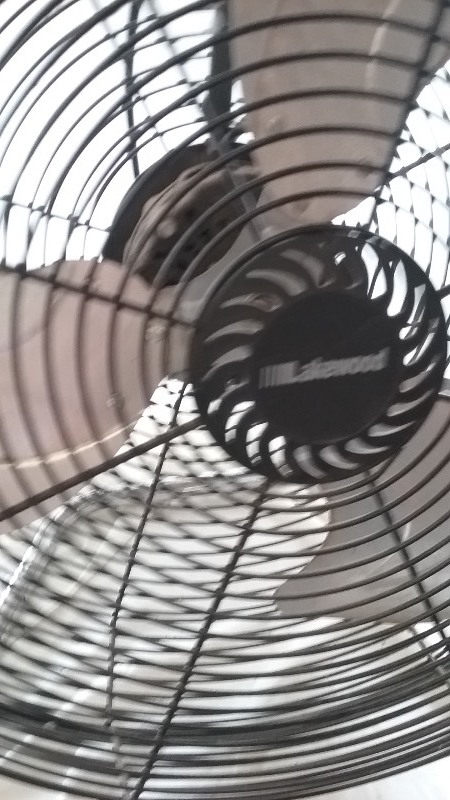 Large Floor Fan