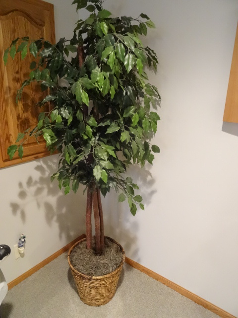 lot 90 image: 6 Artifical tree with wicker pot. ...