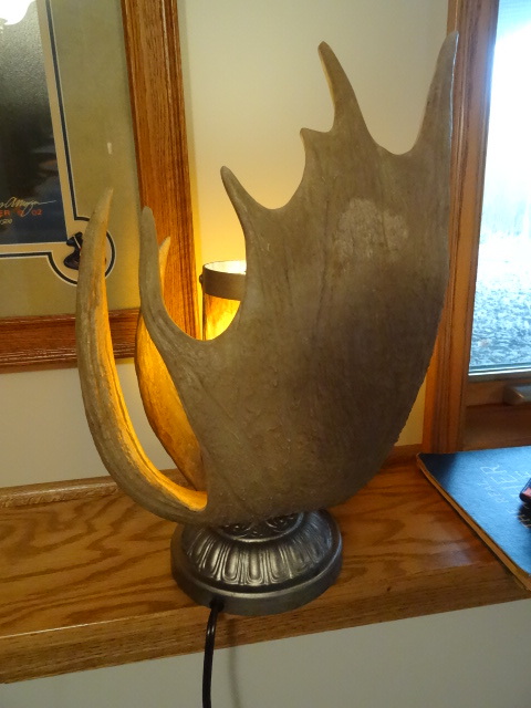 lot 101 image: Artificial moose horn lamp. 18 tal...