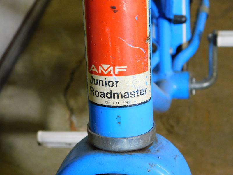 Amf junior hot sale bicycle