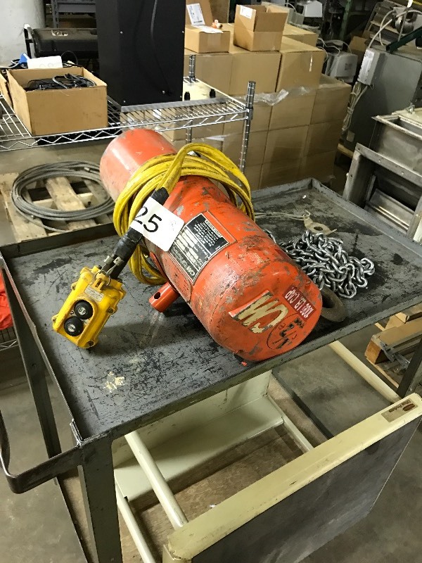 12 ton chain hoist
