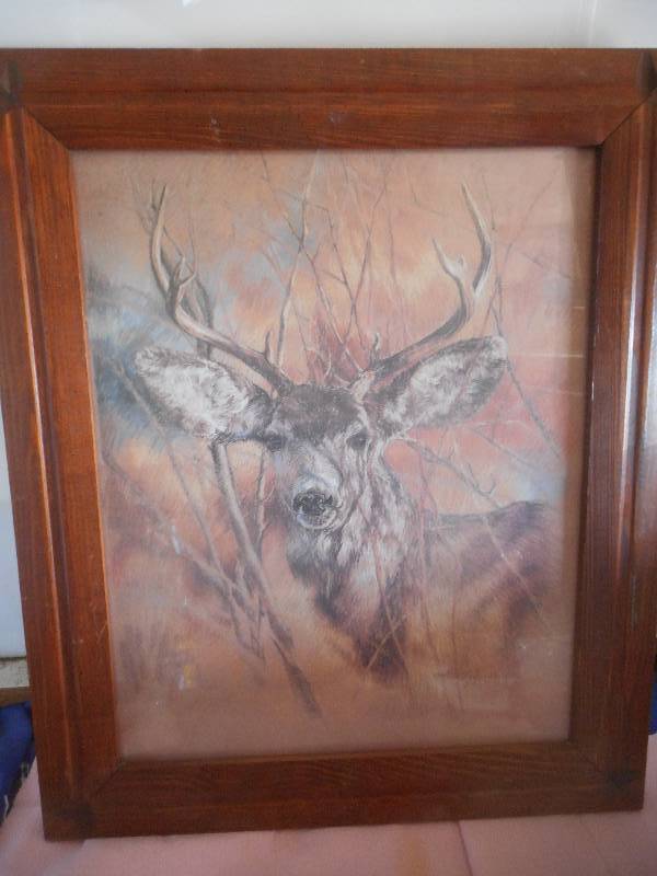 KIETH MAROOZ DEER PICTURE