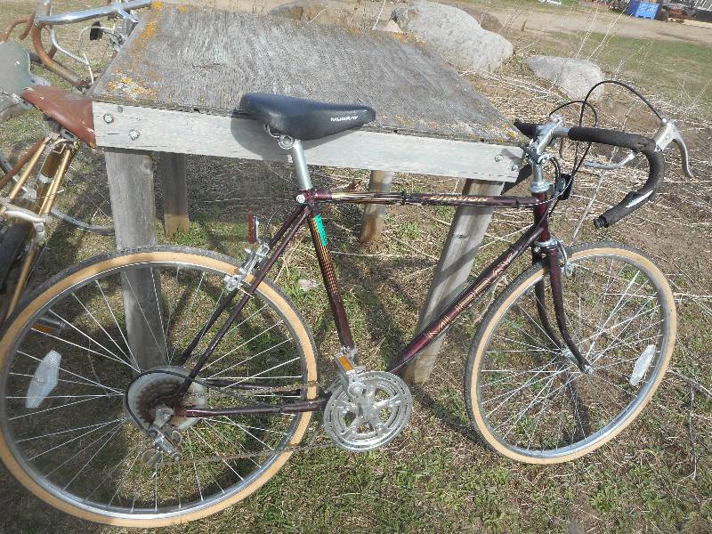 COLLECTIBLE MURRAY BIKE