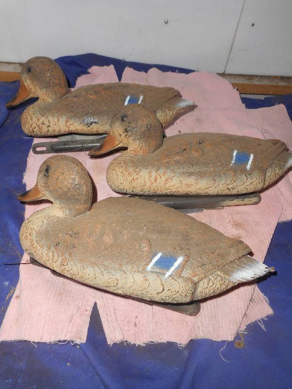 3 DUCK DECOYS