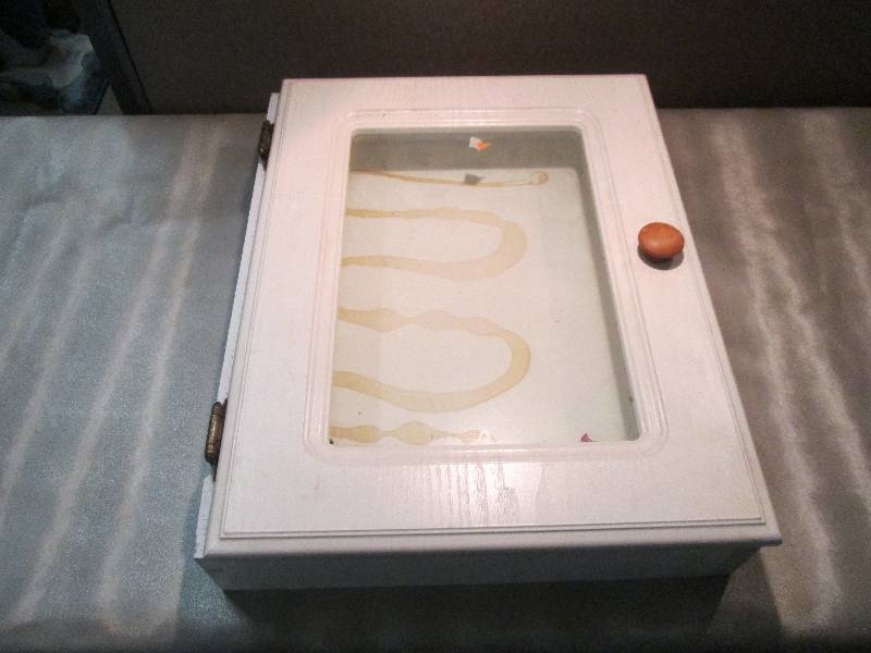 Wooden Display Case or Cabinet...