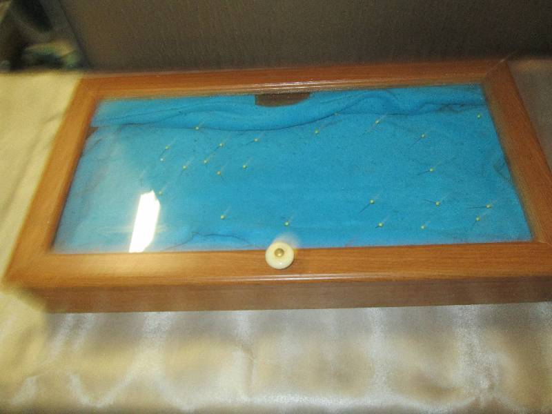 Wooden Display Case...
