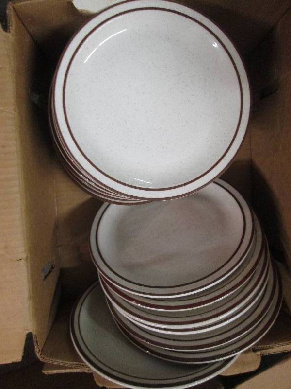 19 Oneida Stoneware Dinner Plates...