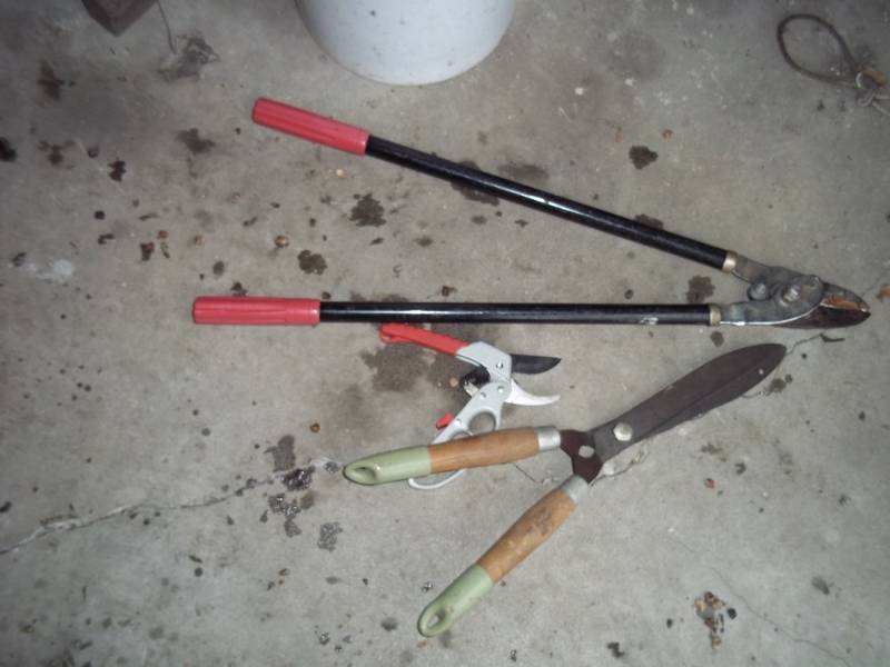 lot 31 image: Pruner, loopers, hedge trimer