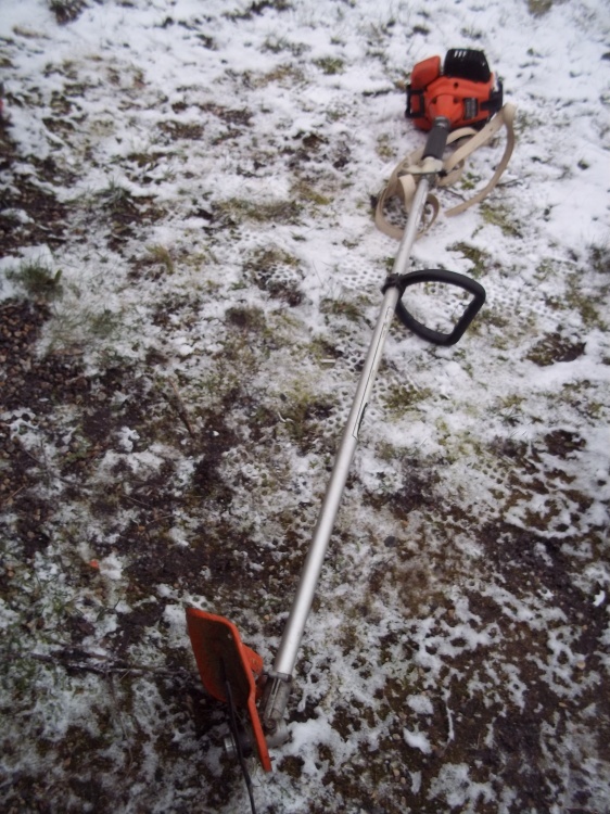 lot 42 image: Echo gas edger