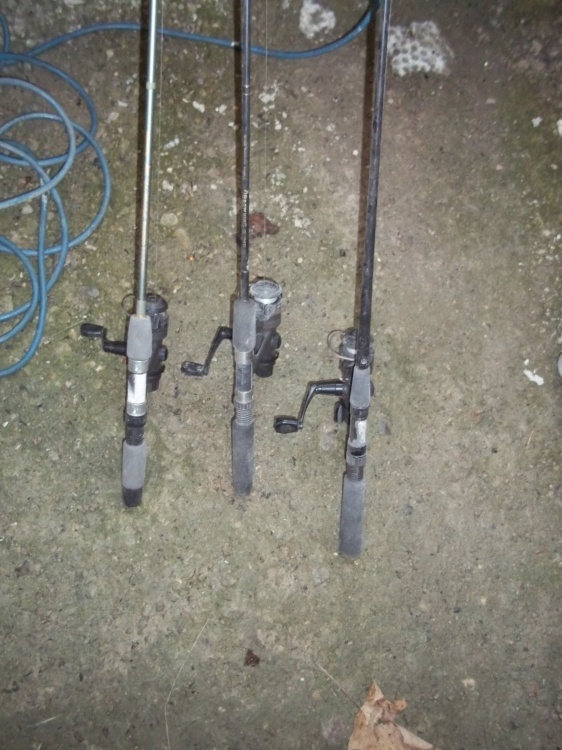 lot 195 image: Lot of 3 fishing rods and reels