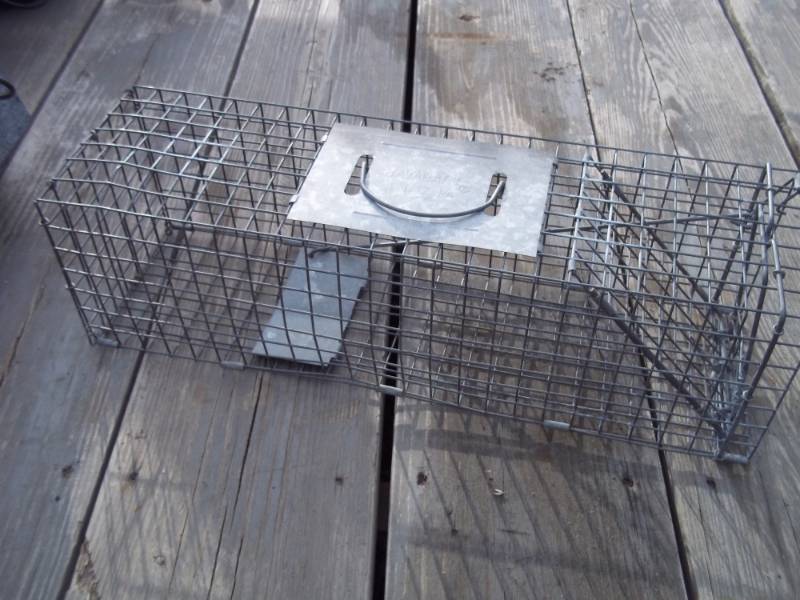 lot 245 image: Live animal trap