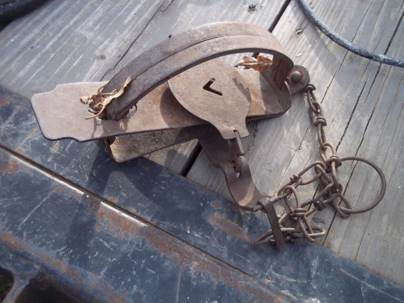 lot 248 image: Victor No. 4 trap