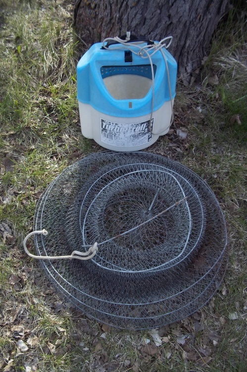 lot 266 image: Large wire fish basket and minnow bucket