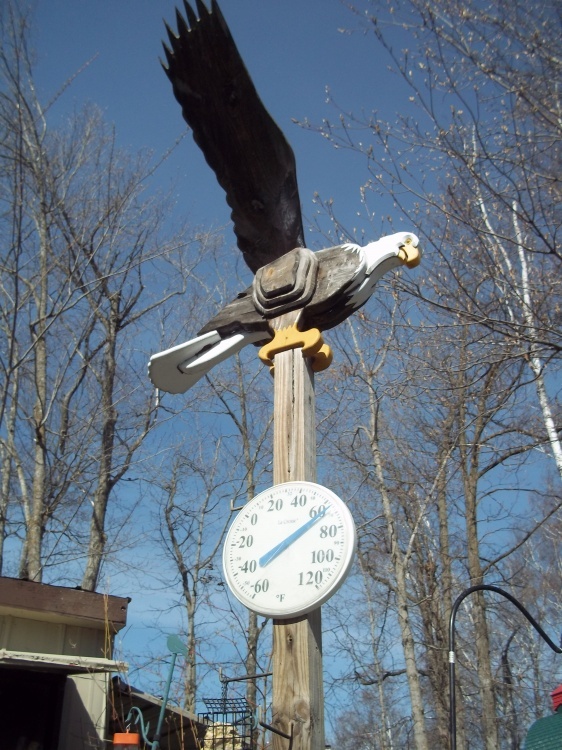 lot 335 image: Wood eagle with 4x4 post