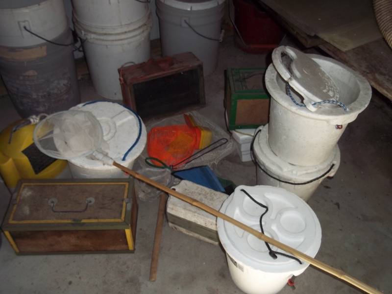 lot 336 image: Lot of minnow buckets and small nets